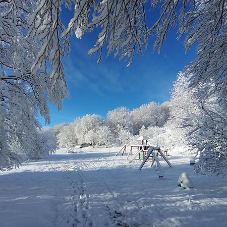 Plitvice Green Apartment Plitvička Jezera 外观 照片